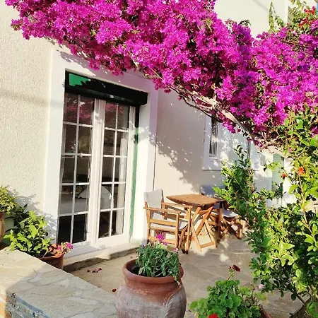 Bougainvillier 公寓 加夫里翁